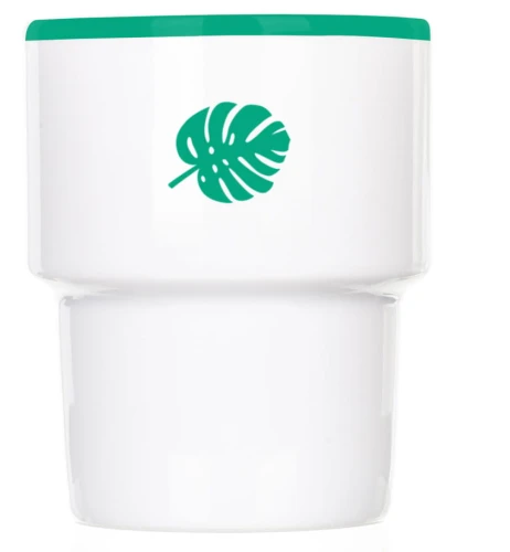 Monstera
