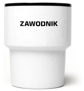 Zawodnik